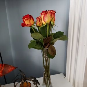 Meet your Posher, Laurie